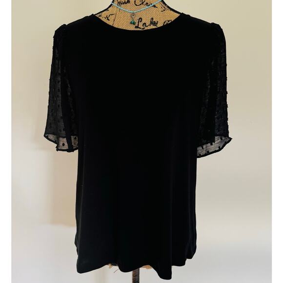 LOFT Womens Black Clipdot Clip Dot Sheer Short Sleeve Cotton Blouse Top Medium - Picture 1 of 9